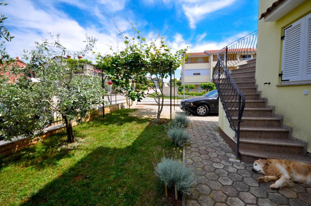 Ana M Apartments Novigrad  Exterior photo