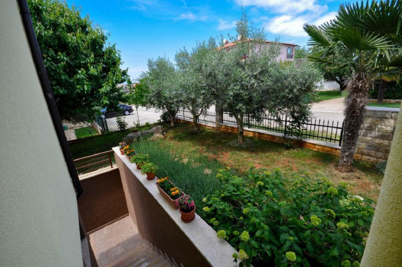 Ana M Apartments Novigrad  Exterior photo